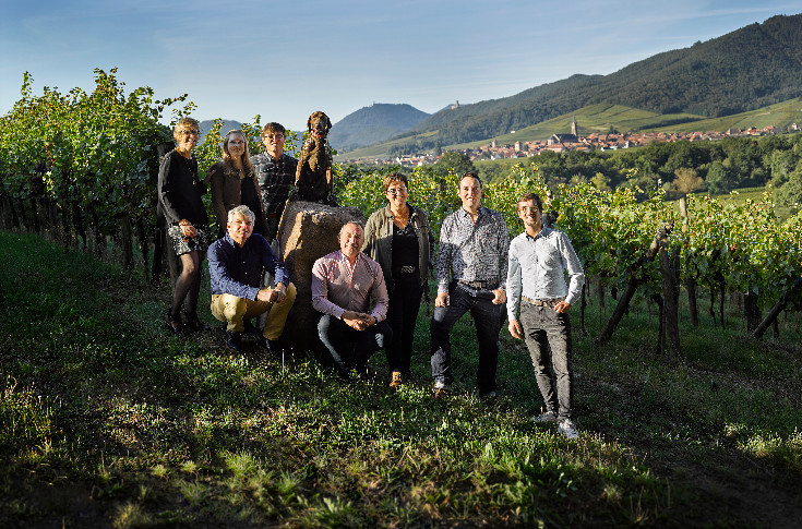Les vins de cépage, même combat de l’Alsace au pays d’Oc