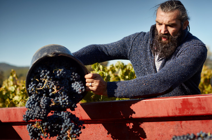 La foire aux vins d'Intermarché à l'heure rugby