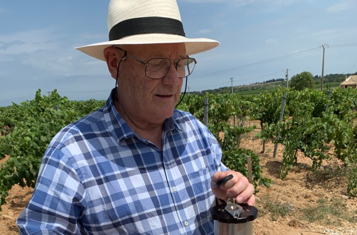 Le changement climatique nous fait découvrir une nouvelle viticulture