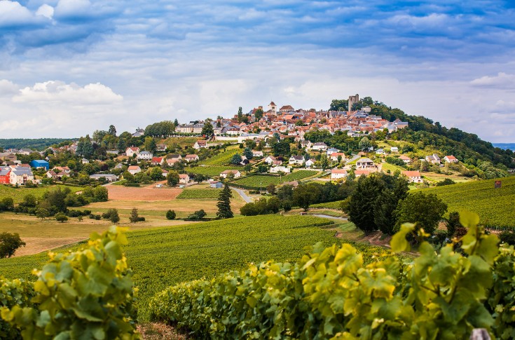 Le vignoble du Centre Val de Loire 