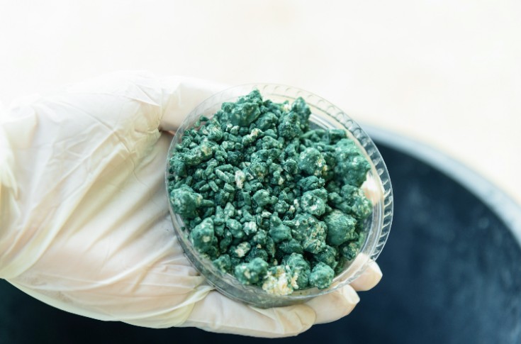Comment bien pulvériser les produits de biocontrôle ?