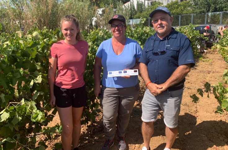 Le vignoble de l’Hérault mise gros sur tricho pour mettre crypto KO 