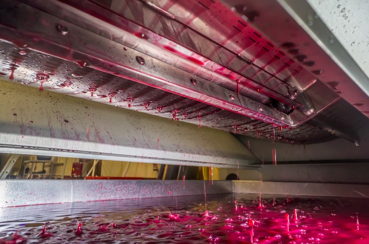 Vinifier en rosé les parcelles qui ont souffert du manque d’eau