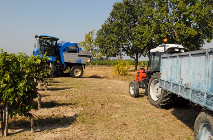 Quelques vérifications pour éviter l'accident de tracteur lors des vendanges