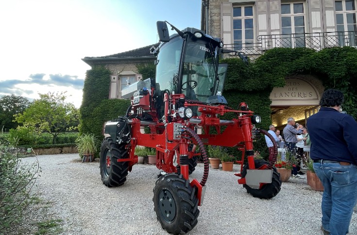 Vermande voit double rangs de vignes étroites