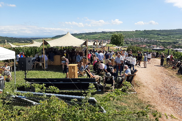 La Tournée des terroirs a cartonné sur la route des vins d'Alsace