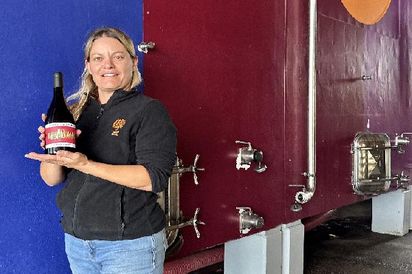  Les levures révélatrices de thiols dans les vins rouges semblent tenir leurs promesses