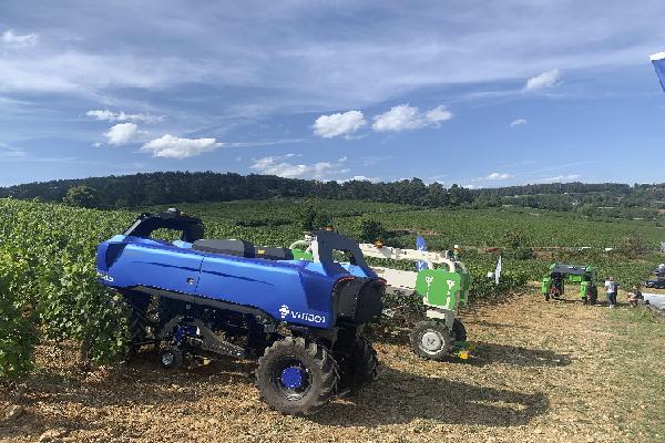  Les six robots du moment en démo dans une vigne de Bourgogne
