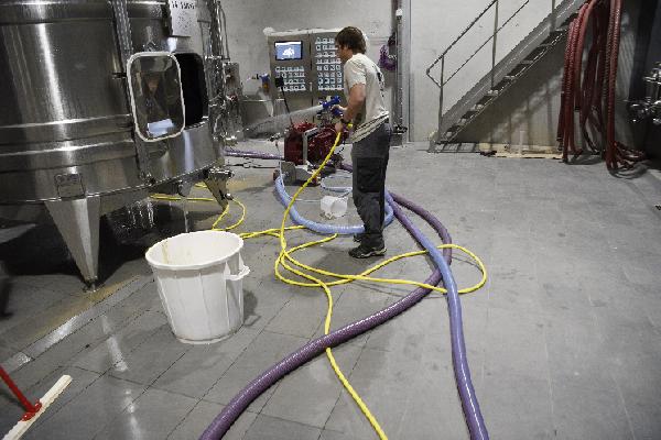  Vins sans sulfites, des vignerons racontent leurs déboires