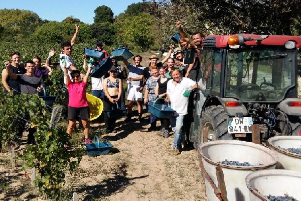  'On leur cherche les horaires de train pour faciliter leur arrivée' des vignerons aux petits soins pour les vendangeurs