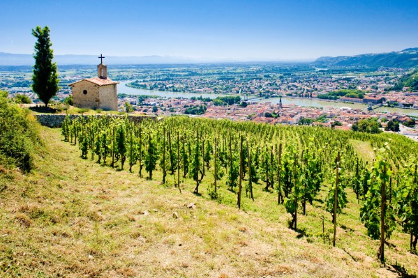 Moral vigneron moins bon que les prévisions de vendange dans la Drôme