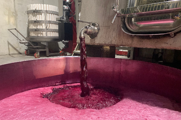 Pas d’obligation de renégociation des prix pour les vins en cas d’inflation