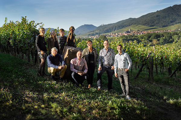 Les vins de cépage, même combat de l’Alsace au pays d’Oc