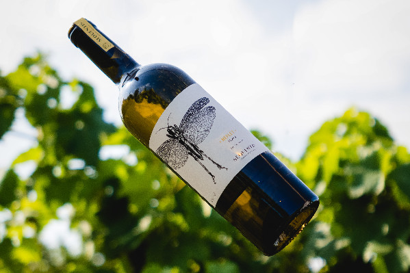 Des cépages résistants pour l’idée d’'aller au-delà de la bio'