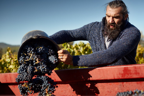 La foire aux vins d'Intermarché à l'heure rugby