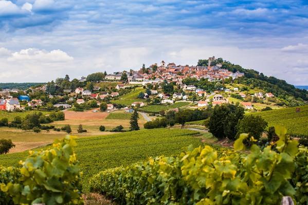 Le vignoble du Centre Val de Loire 'bien sur la quantité', 'en attente du soleil pour la qualité' 