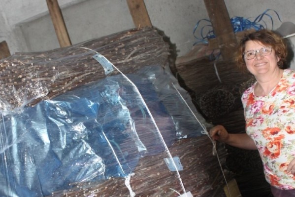  Les Sentinelles de la MSA, des vignerons formés pour détecter les exploitants en situation de mal-être