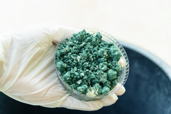 Comment bien pulvériser les produits de biocontrôle ?