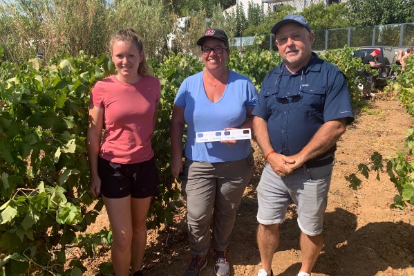 Le vignoble de l’Hérault mise gros sur tricho pour mettre crypto KO 