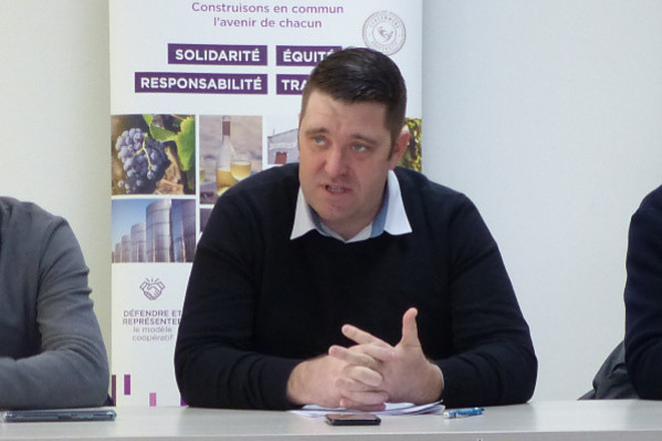 Au bout du goulot, les caves coopératives demandent un plan social d’urgence