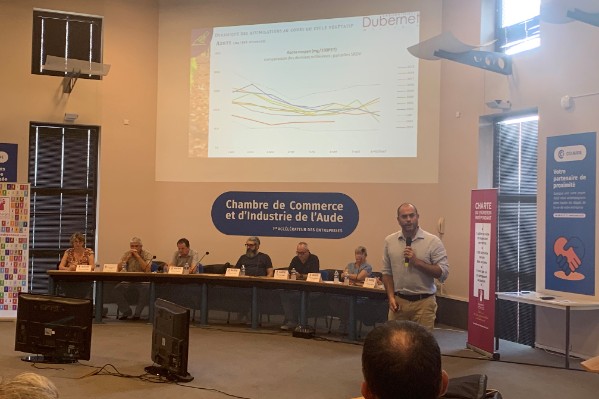 Dans l’Aude, « les vins risquent de manquer d’arômes et de couleur »