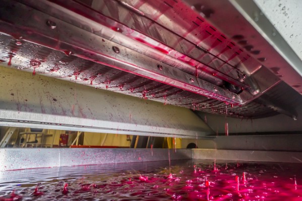 Vinifier en rosé les parcelles qui ont souffert du manque d’eau