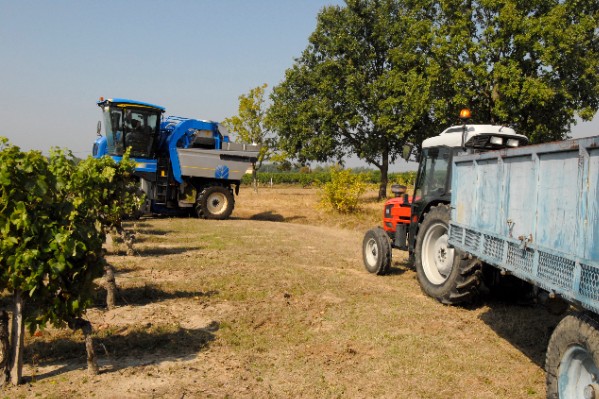 Quelques vérifications pour éviter l'accident de tracteur lors des vendanges