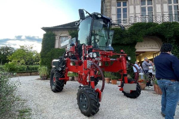 Vermande voit double rangs de vignes étroites
