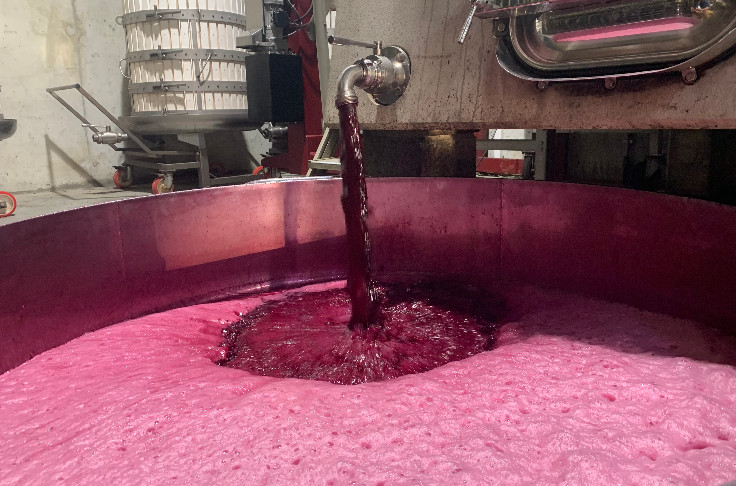 L'heure du bilan pour les vins en vrac de Bordeaux et des Côtes-du-Rhône