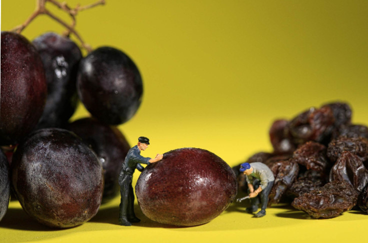 🥈 La France retomberait 2ème productrice mondiale de vin