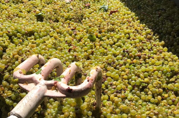 Les vins de Touraine actionnent plusieurs leviers pour coller au marché