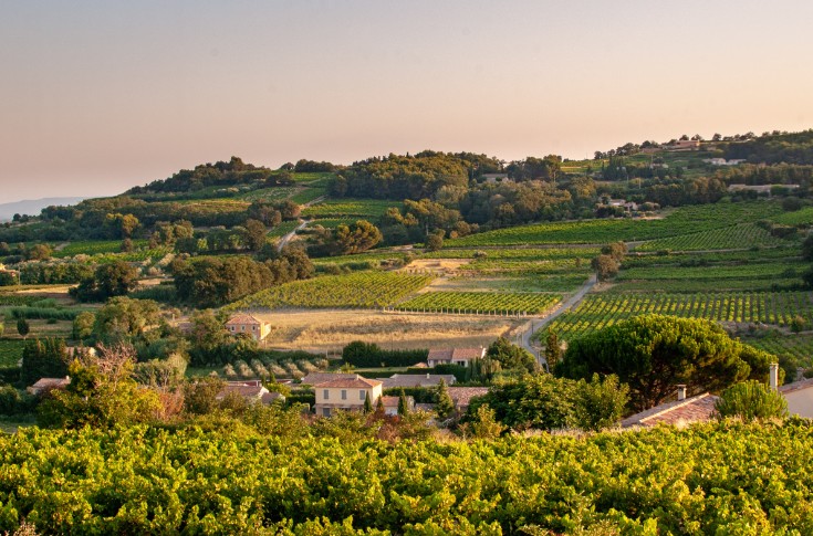 Le cahier des charges des vins de Cairanne contraint d’évoluer face au changement climatique