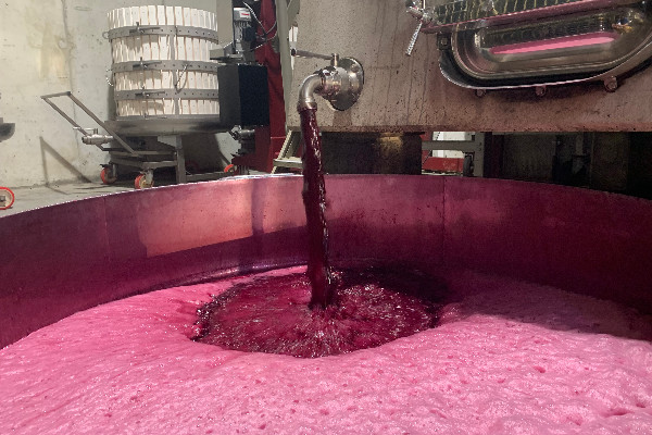 L'heure du bilan pour les vins en vrac de Bordeaux et des Côtes-du-Rhône