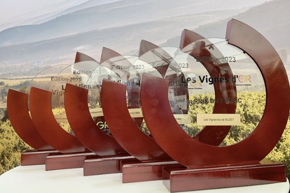 1 000 € pour ceux qui innovent à la vigne ou au chai