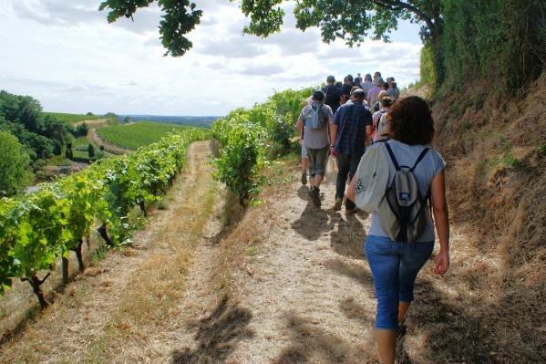 La Loire invite les amateurs de vin à s’échapper