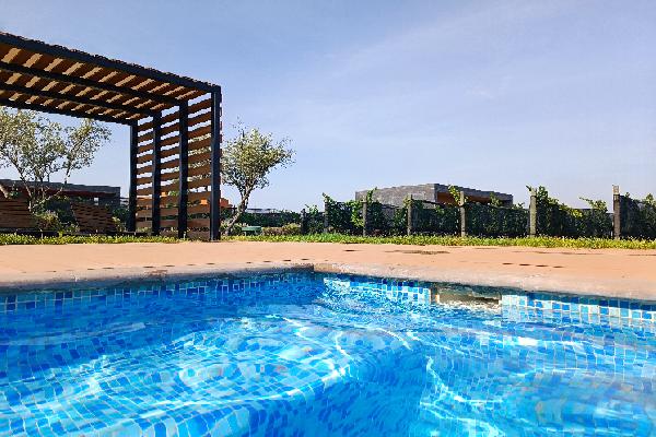 'Piscine de rêve au pied des ceps', au Mexique, la vigne c'est chic !