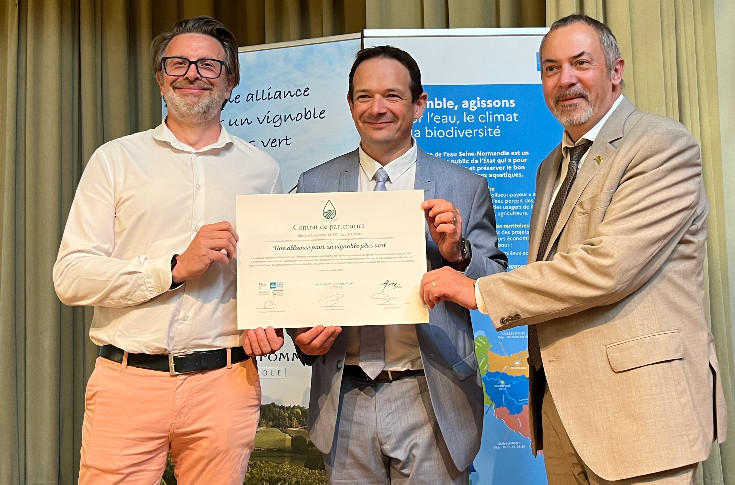Vignoble sans herbicide triplé : les champagnes Vranken-Pommery poursuivent leur programme agroécologique