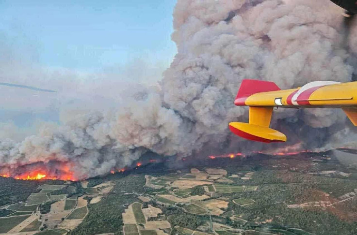 Désolation dans les vignes avec l’incendie le plus violent du 21ème siècle, 