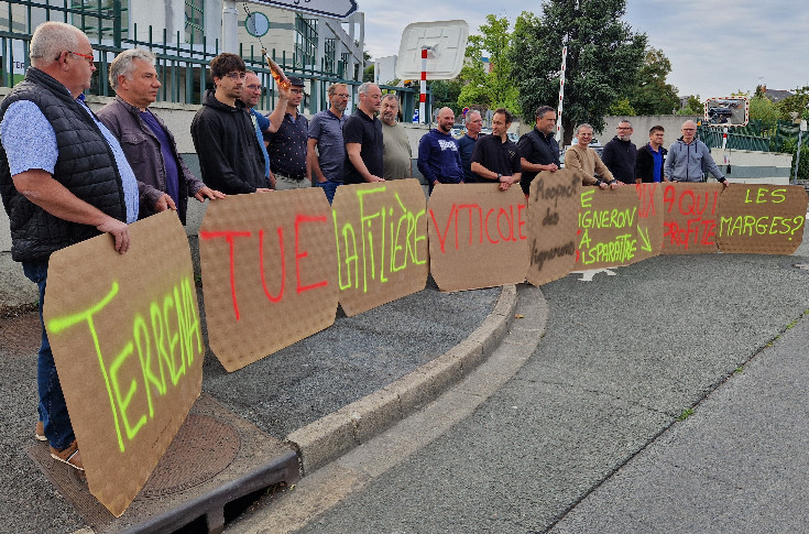 Manifestation vigneronne contre les prix d'Ackerman : à 145 €/hl en Cabernet d’Anjou “on ne couvre pas les coûts de production”