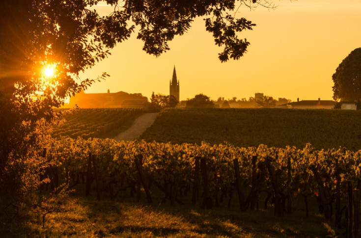 Saint-Émilion se pose la question de sa déclinaison en vin blanc