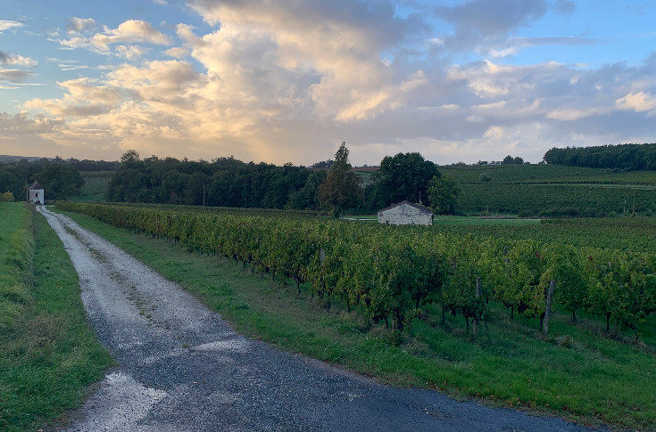 Pestiriv arrive mi-septembre avec les chiffres d’exposition phyto des voisins de vignes