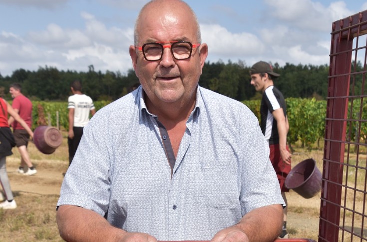 Les vendanges lancées à des dates jamais vues en Anjou-Saumur