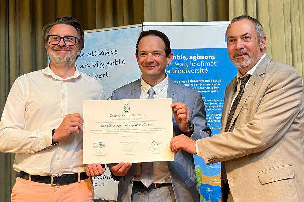 Vignoble sans herbicide triplé : les champagnes Vranken-Pommery poursuivent leur programme agroécologique