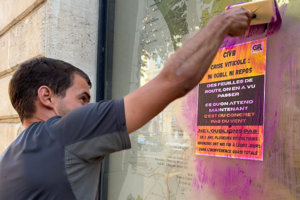 Le vignoble 'n’a pas besoin d’un enterrement organisé, mais d’un avenir construit' : arrachage temporaire à 10 000 €/ha, reconversion soutenue…