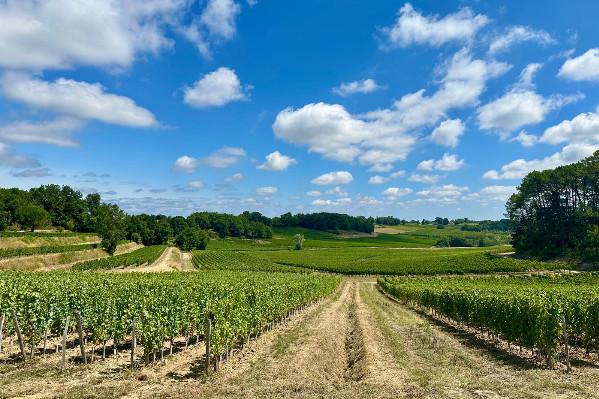 2025 a tout d’un très grand millésime à Bordeaux