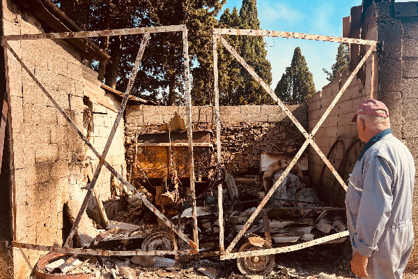 Comment aider les vignerons et agriculteurs sinistrés par le feu : 'même un petit geste a un grand impact'