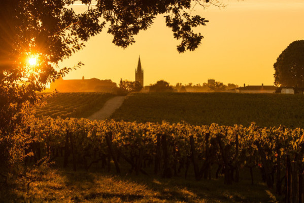 Saint-Émilion se pose la question de sa déclinaison en vin blanc