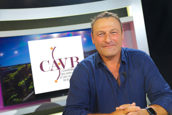 'La meilleure des assurances climatiques est de mettre en réserve du vin' : l’expérimentation du VCI mis en bouteilles prolongée et renforcée