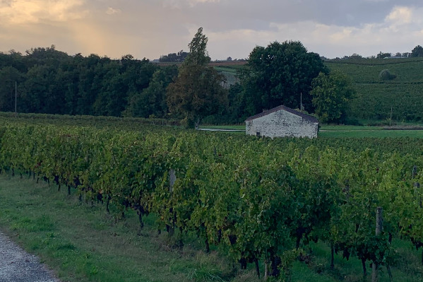 Pestiriv arrive mi-septembre avec les chiffres d’exposition phyto des voisins de vignes