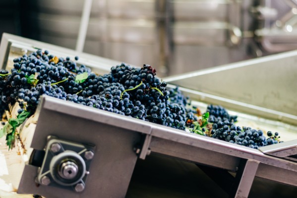 Frais et fruité ou rond et épicé, deux itinéraires pour passer du vin rouge au rosé